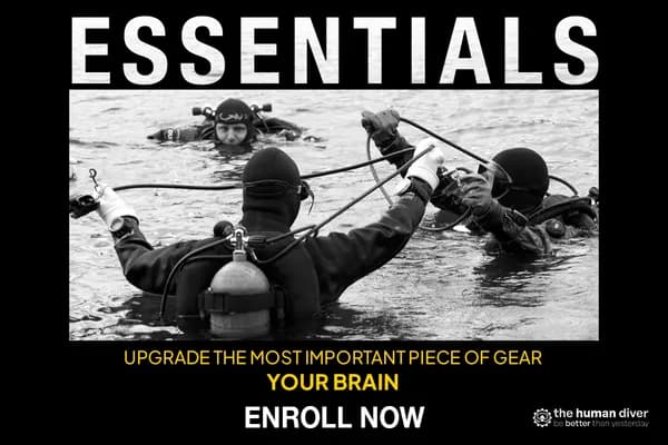 HFiD Essentials: Elevate Your Diving Safety and Skills Cover