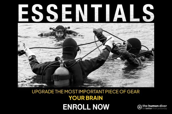 HFiD Essentials: Elevate Your Diving Safety and Skills Cover