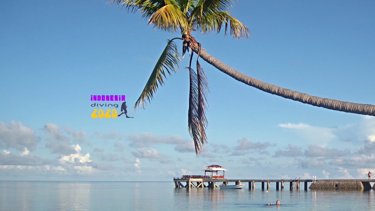 Exploring the Depths: A Dive into IndonesiaDiving2020 Cover